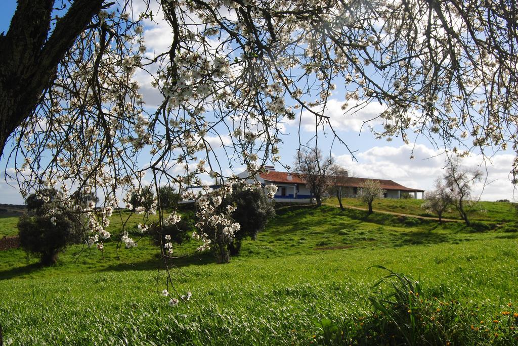 Herdade Dos Mestres Villa Terena Exterior photo