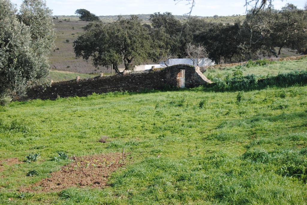 Herdade Dos Mestres Villa Terena Exterior photo